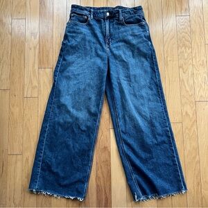 American Eagle Outfitters Super High-Rise Baggy Wide Leg Jeans size 12 regular